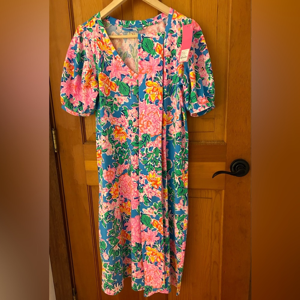 Lilly Pulitzer Isolde Dress NWT Size Small - Picture 4 of 4